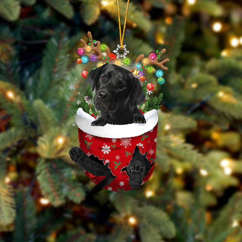 Stocking Pup Ornament