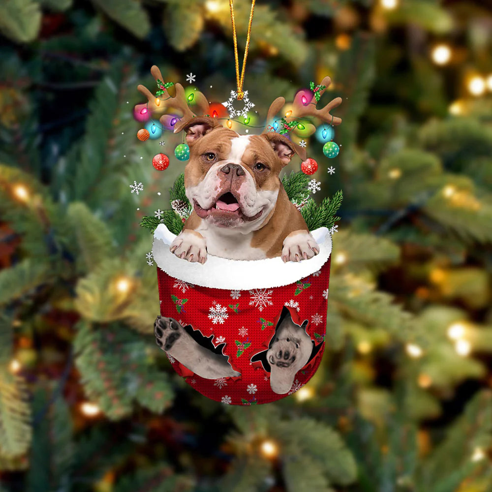 Stocking Pup Ornament