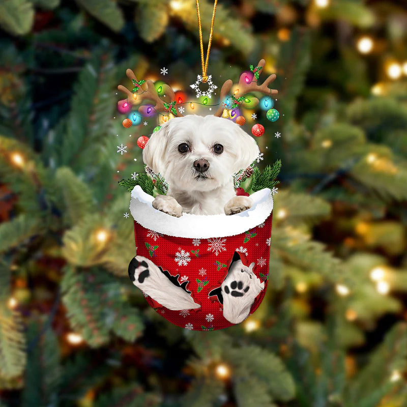 Stocking Pup Ornament